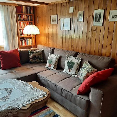 Chalet Am Fels Innertkirchen Eksteriør billede