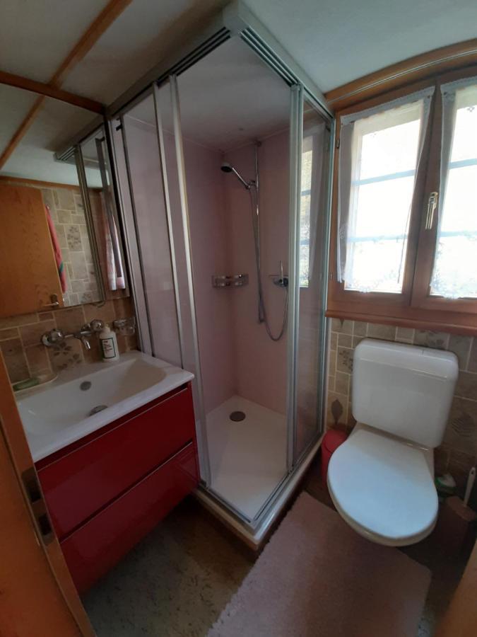 Chalet Am Fels Innertkirchen Eksteriør billede